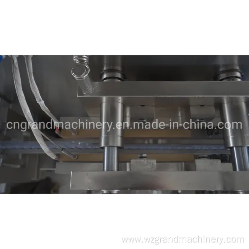 Vertical Liquid Filling and Packaging Machine Ggs-118 (P5)